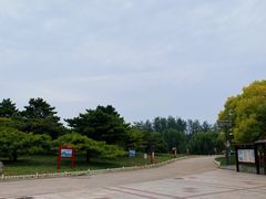 -塘沽森林公园