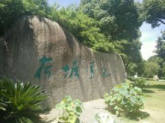 -荷塘月色湿地公园·向阳花洲