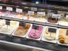 -Dooley's Premium Ice Cream