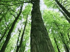 -瀛洲公园