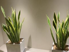 -泰合玺·精油疗愈 SPA(南京河西万达店)