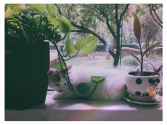 -宠福鑫动物医院(立水桥分院)