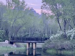 -群力丁香公园