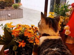 -IFIF 如果花園(宽厚里店)