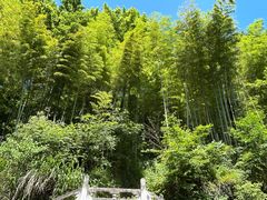 -天姥山景区