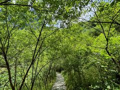 -鹿院坪生态旅游景区