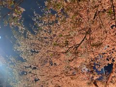 -西北湖绿化广场