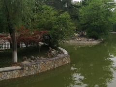 -西安市长乐公园