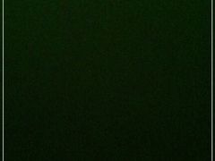 -东山羊庄(八卦岭店)