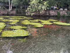 -水磨沟公园