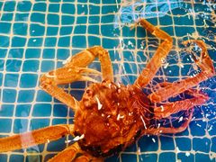 -宋园·金宴浙鲜馆(静安店)