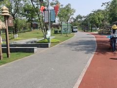 -上海长兴岛郊野公园