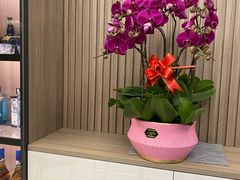 -百安居装修建材卖场(泰然店)