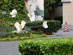 -思南公馆商业街