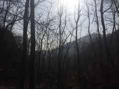 -大岭沟猕猴桃谷风景区