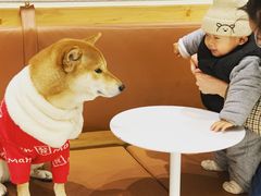 -MQ COFFEE STAND明谦(新洲店)
