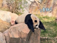-青藏高原野生动物园