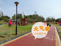 -九龙湖公园