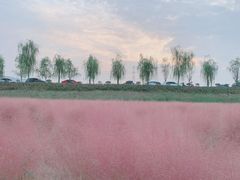 -西安浐灞国家湿地公园