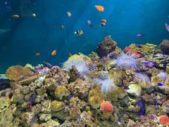 -福州罗源湾海洋世界旅游区