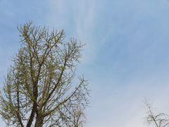 -清真·马文砂锅大全