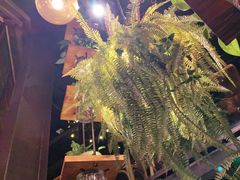 -胡桃里音乐酒馆(白云五号T5 MALL店)