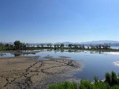 -洱海月湿地公园