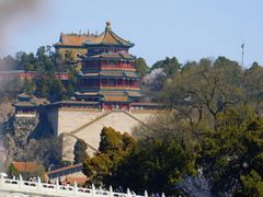 -京城小江南·北京烤鸭·江南土菜·白鱼(中关村店)