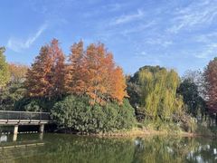 -贡湖湾湿地公园
