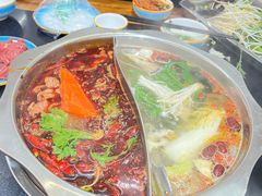 -金鼎雪山牦牛杂火锅(理县总店)