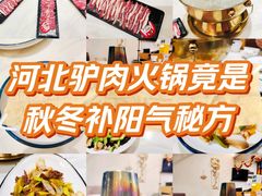 -培万河间驴火•驴肉火锅(东平店)