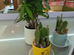 -海底捞火锅(旭辉MALL店)