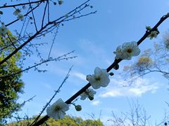 -广州市白云山风景名胜区