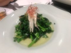 火丝银芽豆苗-江南雅厨(李公堤店)