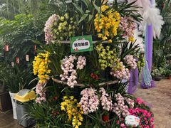 -北京稻香村(五道口店)