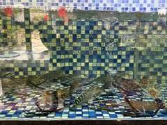 -顺德了能馆(虎门店)