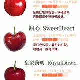 常见车厘子｜甜度大小｜一看就懂了