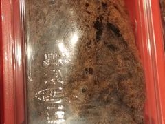 -樽宴酒楼·地道川菜·品质宴请