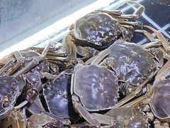 -聚盛源蒸汽海鲜火锅烤肉自助(巨川金海岸购物广场店)