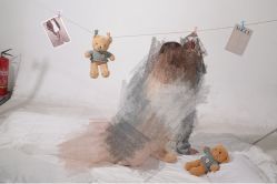 -花屿迷鹿写真馆