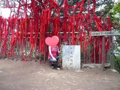 -王顺山国家森林公园
