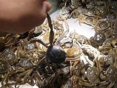 -欢乐牧场海鲜烤肉自助(牡丹园店)