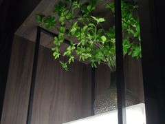 -华夏良子·足道SPA艾灸(金皇大厦店)