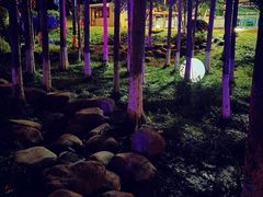 -金陵矩阵(聚宝山公园店)