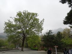 -沂蒙山旅游区云蒙景区(蒙山国家森林公园)