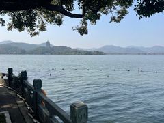 -杭州西湖柳莺里酒店·闻莺厅