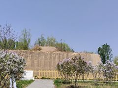 -野鸭湖国家湿地公园