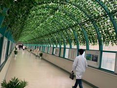-江苏省人民医院(广州路院区)