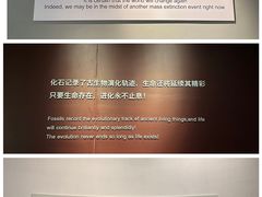 -重庆自然博物馆(新馆)