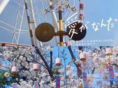 -顾村公园